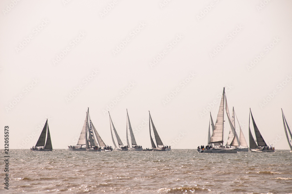 Fototapeta premium nautisme voiliers en mer