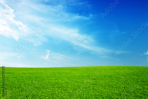 Green meadow under the bright sky