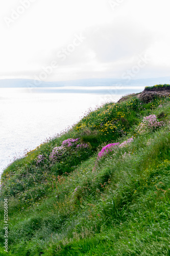 Dramatic landscape of Southern Irish Coastline in late spring