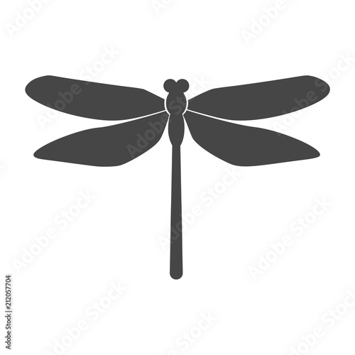 Vector of dragonfly design on white background, dragonfly icon logo