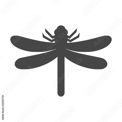 Vector of dragonfly design on white background, dragonfly icon logo
