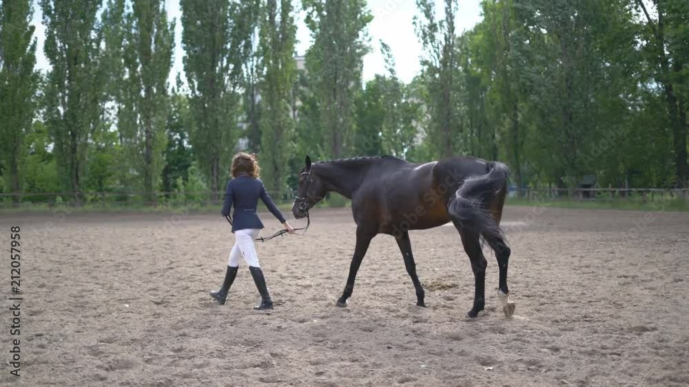 a young girl rider in high boots is led along the sand arena by a brown racehorse. preparation for races. Shooting at sunset on a warm summer day. light-haired curly-haired woman of 20 years 4К a young girl rider in high boots is led along the sand arena by a brown racehorse. preparation for races. Shooting at sunset on a warm summer day. light-haired curly-haired woman of 20 years 4К
