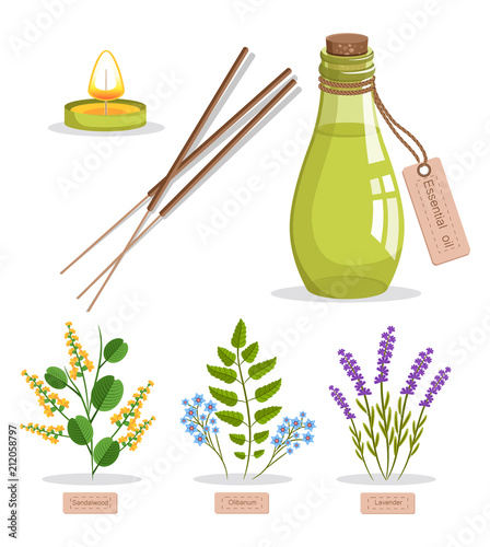 Sandalwood and Olibanum Set Vector Illustration