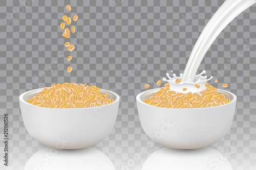 Bowls of oat flakes vector realistic illustration