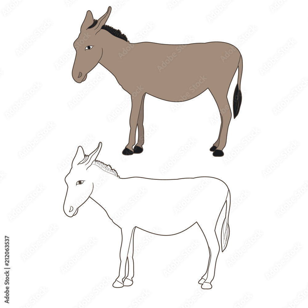 isolated donkey, mule, outline