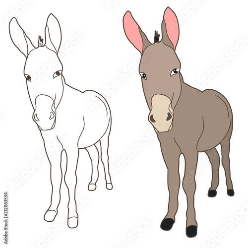 vector isolated donkey, mule, outline