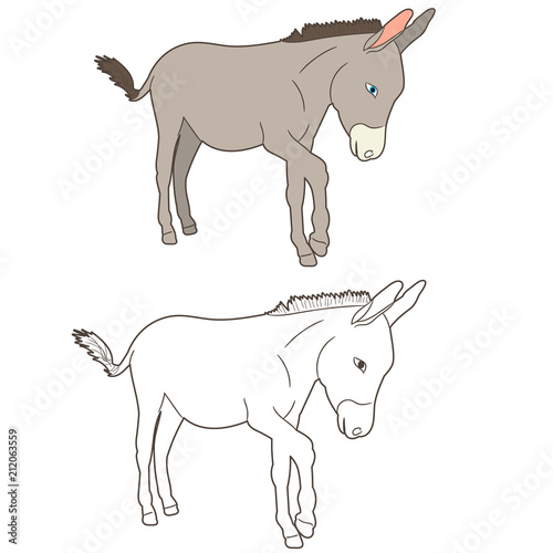 donkey drawing, going,