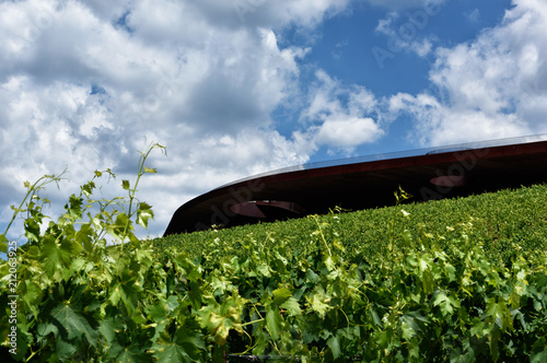 Fotografie The winery of Antinori nel Chianti Classico / Florence my city, my love