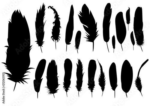 vector, isolated silhouette of a feather, collection