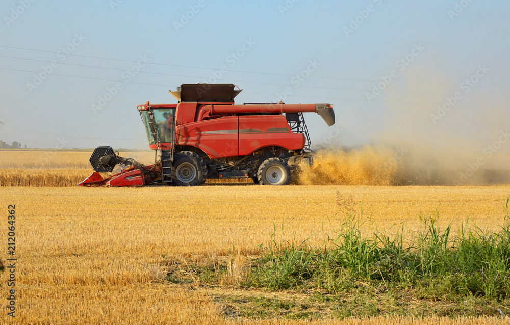 Fototapeta premium Harvesting combine in a field