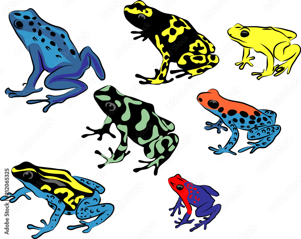 Naklejka premium Poison Dart Frog - kolor ilustracji wektorowych