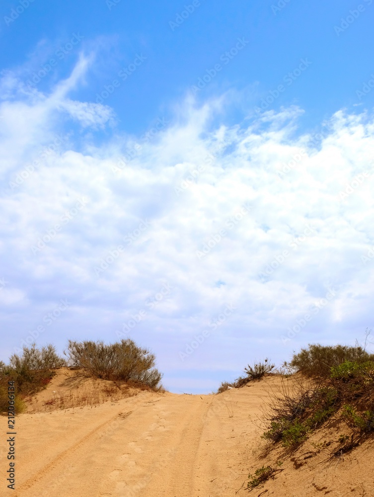 Road among sand dunes with low bushes and traces of cars, people and animals in the vicinity of Holon