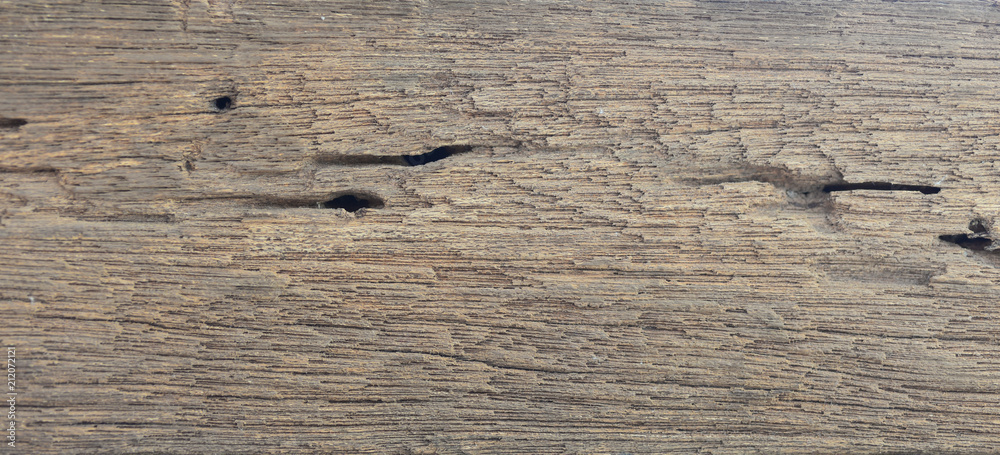 Old wood texture, the surface of the material change over time a Old wood texture, the surface of the material change over time a