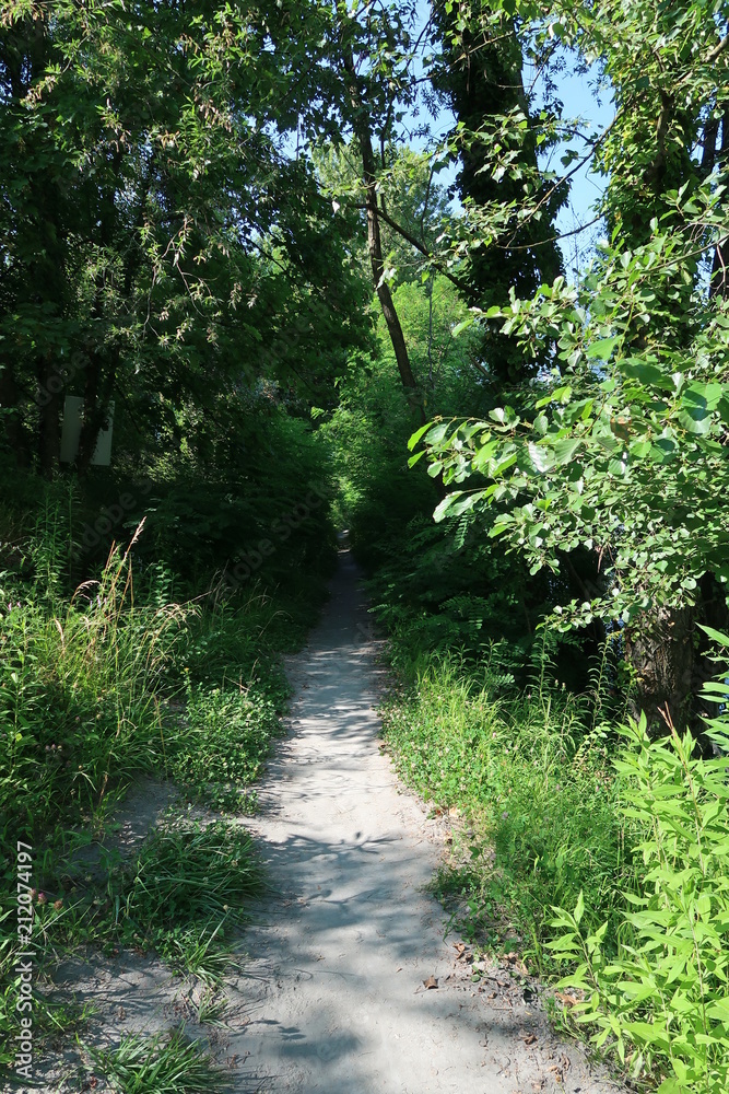 Fototapeta premium Path along the Isère river in Grenoble, France