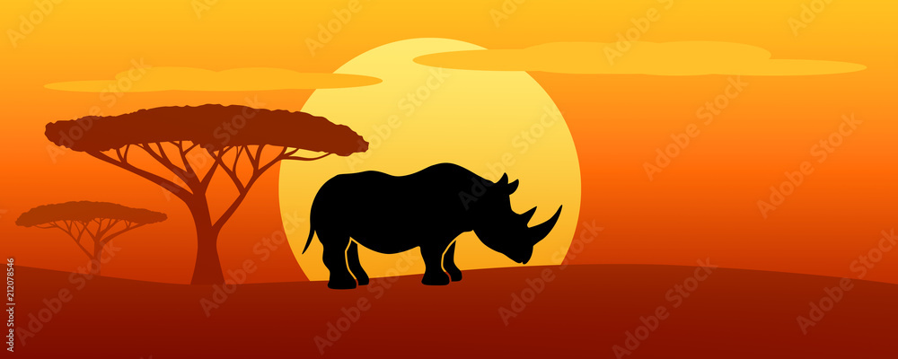 Fototapeta premium rhinot silhouette at sunset
