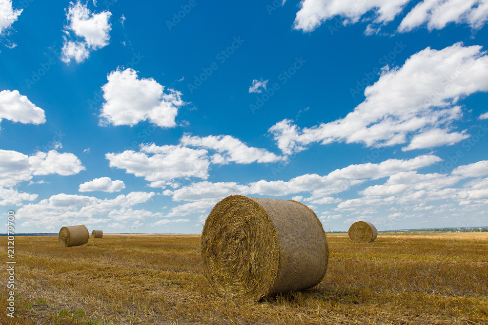 Field after harvest, Big round bales of straw	