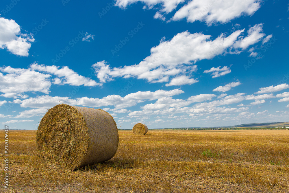 Field after harvest, Big round bales of straw	