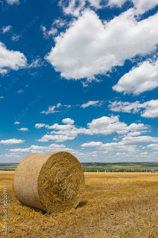 Field after harvest, Big round bales of straw Field after harvest, Big round bales of straw