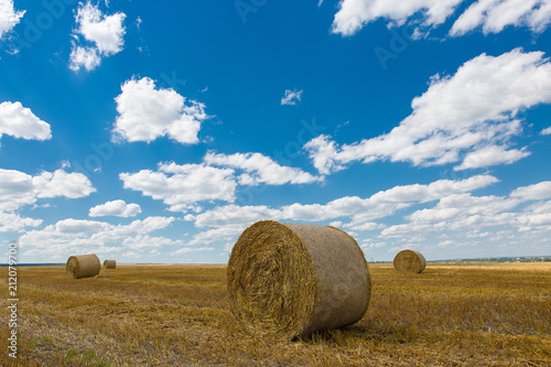 Field after harvest, Big round bales of straw 