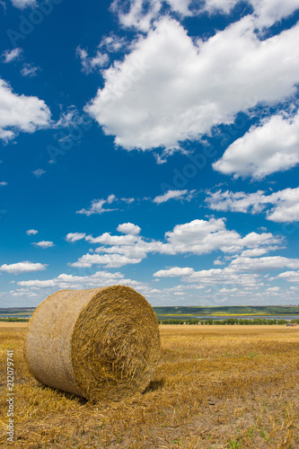 Field after harvest, Big round bales of straw 