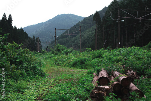 Green feald and mountains photo