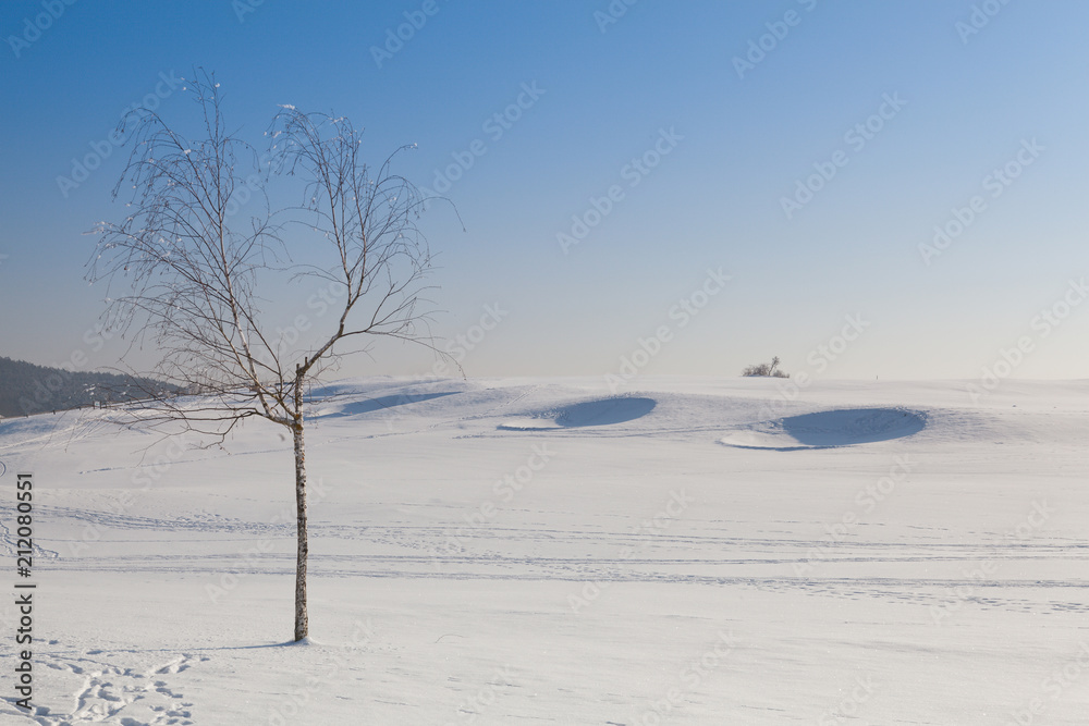 Golf bunkers full of snow