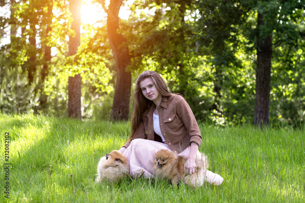 Beautiful girl with a dog.The girl with the Pomeranian. Beautiful girl with a dog.The girl with the Pomeranian.