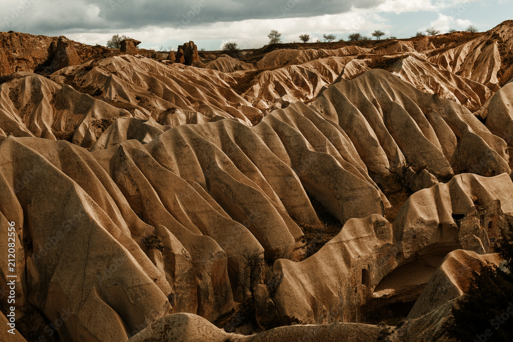 Obraz premium Rose valley near Goreme, Turkey