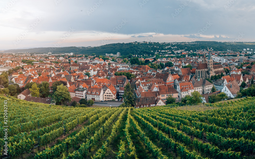 panorama of medieval town Esslingen am Neckar Germany