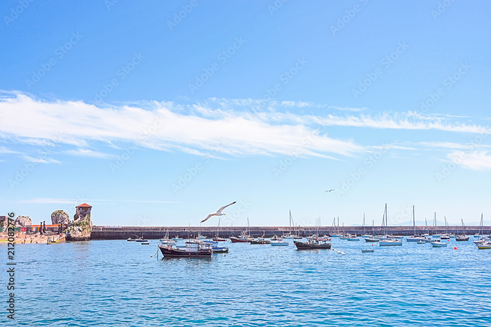 Seascape with yachts, seagulls and sky with clouds. Castro-Urdiales. Spain