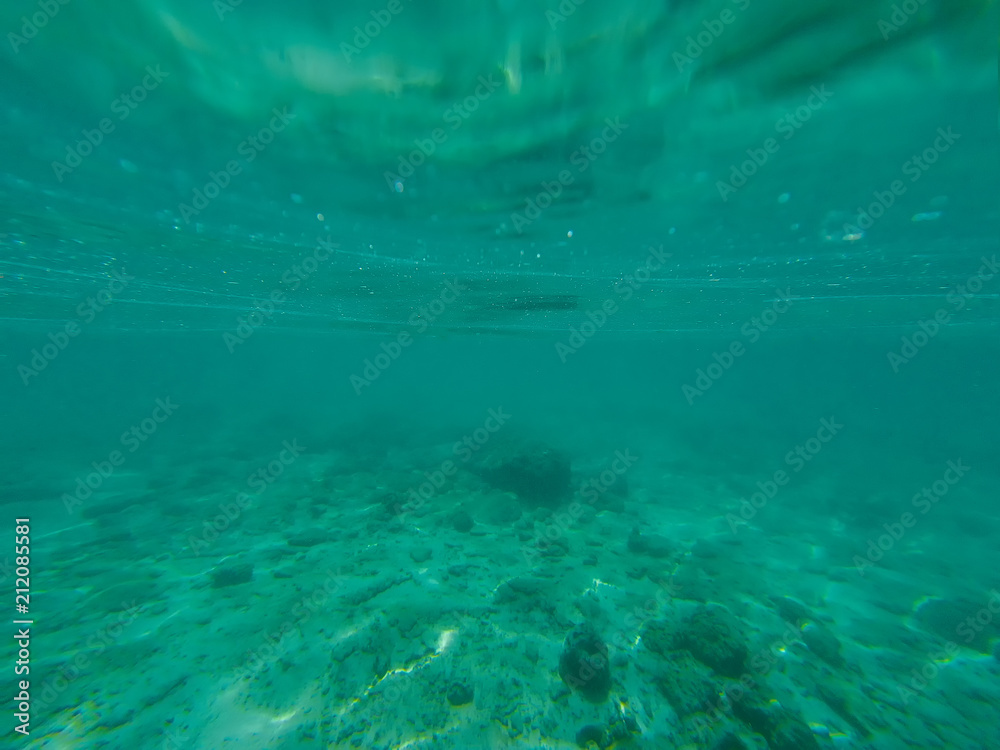 sea bottom. Calm underwater scene with copy space