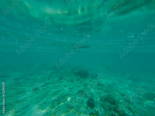 sea bottom. Calm underwater scene with copy space © anatoliiSushko