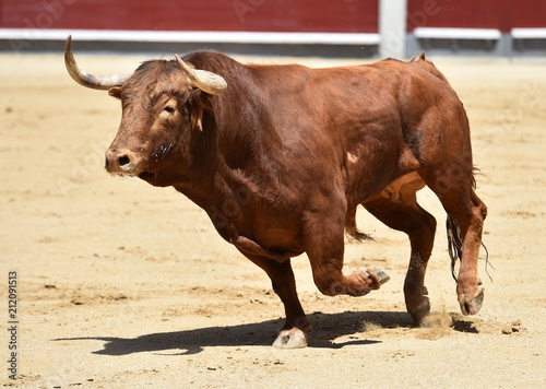 bull red in spain