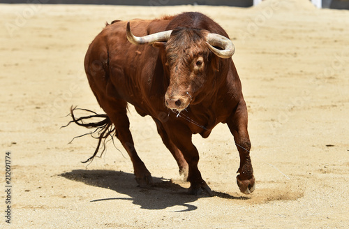 bull red in spain