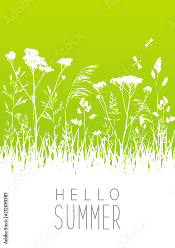 Green summer meadow with grass silhouettes 