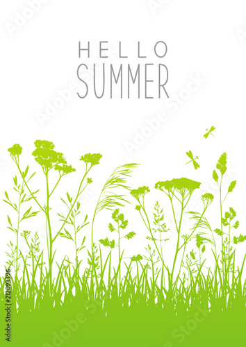 Green summer meadow with grass silhouettes