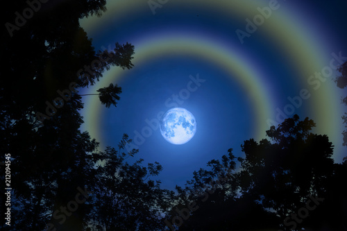 moon halo double rainbow silhouette grass colorful sky
