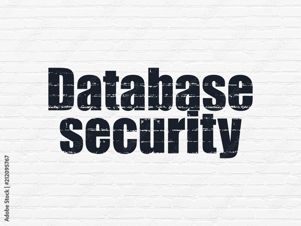 Programming concept: Painted black text Database Security on White Brick wall background Programming concept: Painted black text Database Security on White Brick wall background