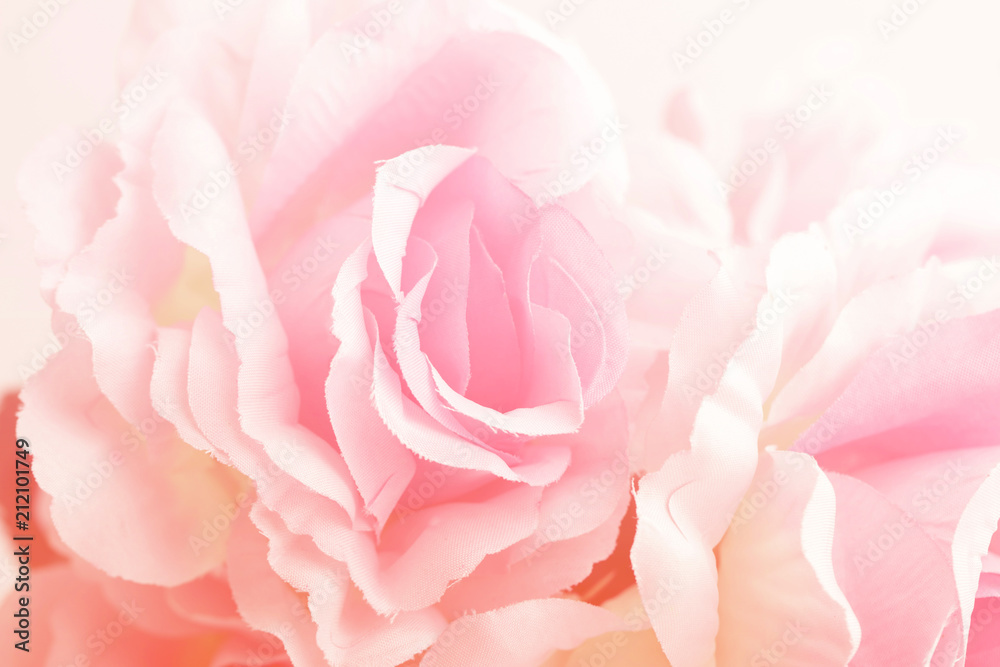 Sweet color roses in soft style for background