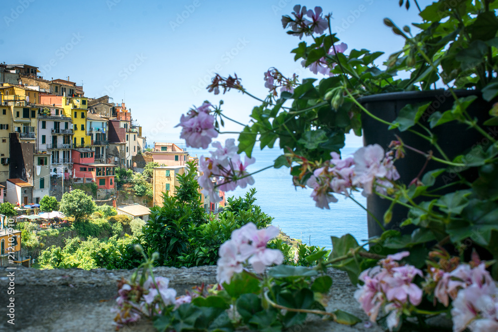 Horizontal View of the city of Corniglia beside a Flower Composition on Blue Sky Background in the Italian National Park of the Cinque Terre.