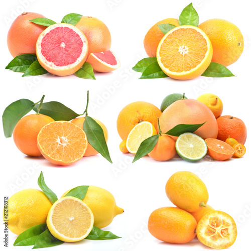 Fresh citrus fruit
