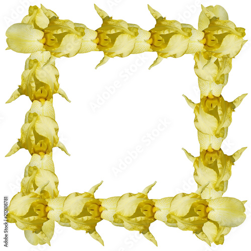 Fototapeta Naklejka Na Ścianę i Meble -  Beautiful floral background of irises. Isolated 