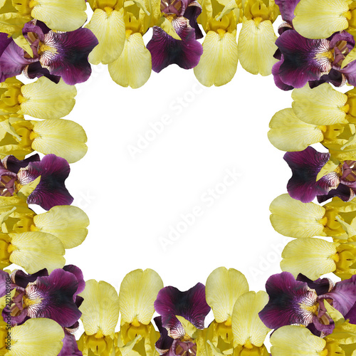 Fototapeta Naklejka Na Ścianę i Meble -  Beautiful floral background of irises. Isolated 