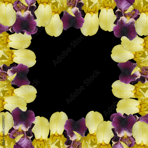 Fototapeta Naklejka Na Ścianę i Meble -  Beautiful floral background of irises. Isolated 