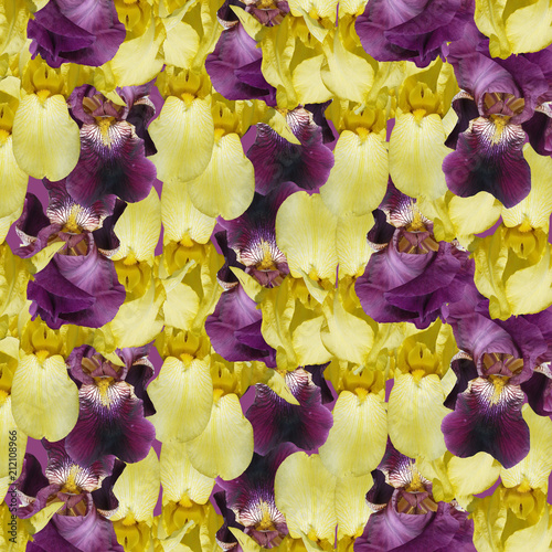 Fototapeta Naklejka Na Ścianę i Meble -  Beautiful floral background of irises. Isolated 
