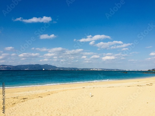 海