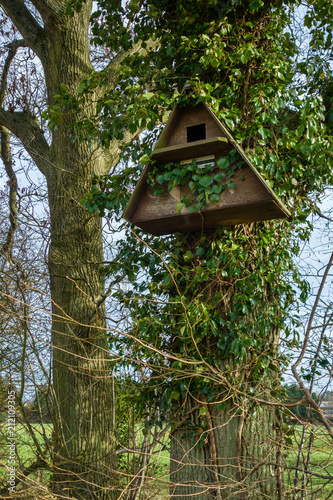 A barn owl bird nesting box fixed to a tree trunk in a rural location © Nigel Burley