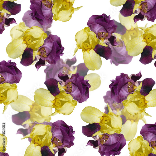 Fototapeta Naklejka Na Ścianę i Meble -  Beautiful floral background of irises. Isolated 