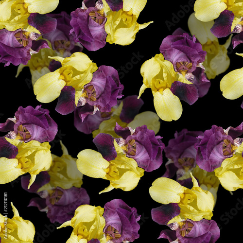 Fototapeta Naklejka Na Ścianę i Meble -  Beautiful floral background of irises. Isolated 