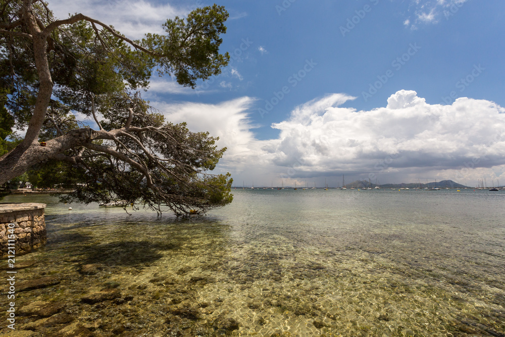 Fototapeta premium Mer et front de mer de Port Pollença
